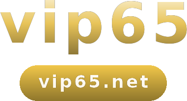 vip65 logo